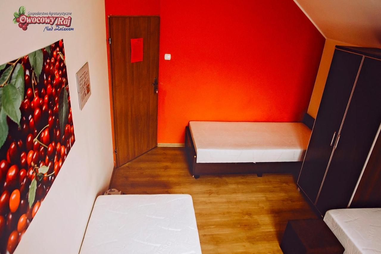 Owocowy Raj Nad Zalewem Vila Modla Krolewska Exterior foto