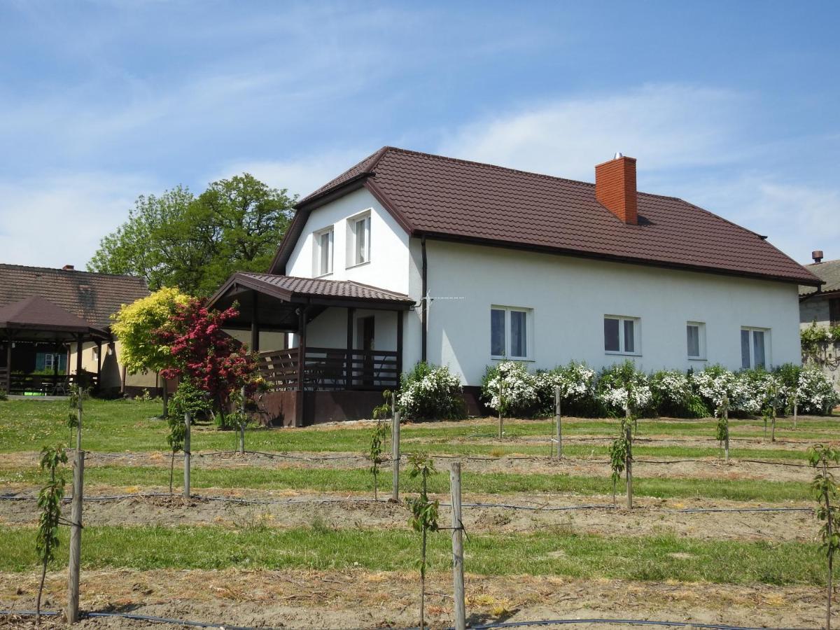 Owocowy Raj Nad Zalewem Vila Modla Krolewska Exterior foto