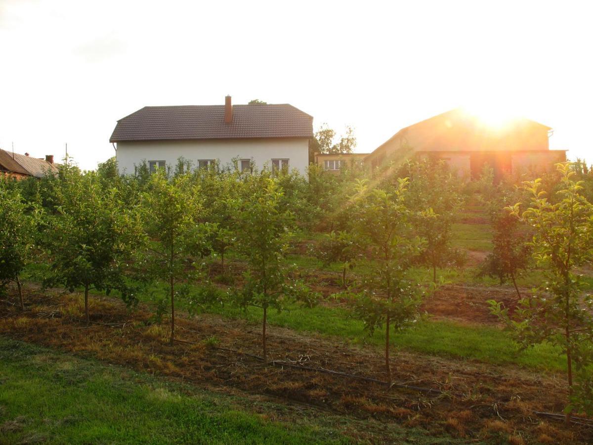 Owocowy Raj Nad Zalewem Vila Modla Krolewska Exterior foto
